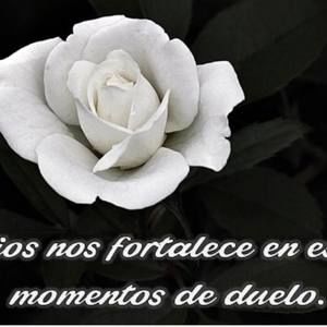 Meet your Posher, Anel narda